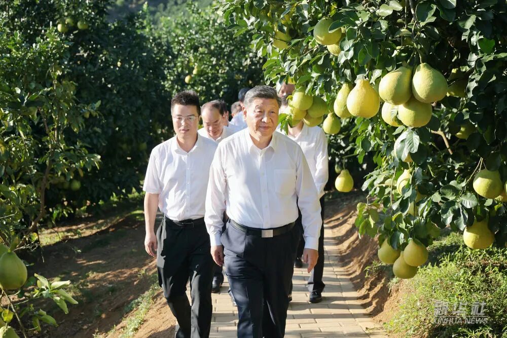 20251110084131_8925 来利国际w66(中国集团)官方网站